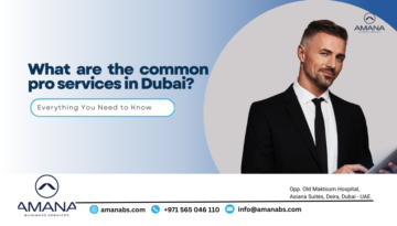 Professional PRO services company in Dubai Amana Business Services