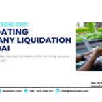 PRO consultant assisting with company liquidation and trade license cancellation in Dubai.