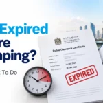 Expired Police Clearance Certificate for a UAE visa application